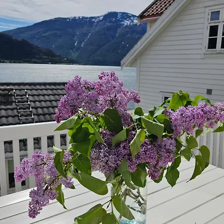 Sentralt I Terrasse Med Fjordutsikt