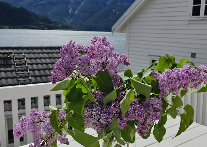 Sentralt I Terrasse Med Fjordutsikt