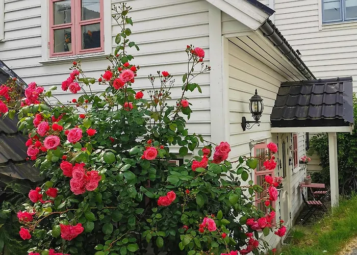 Sentralt I Terrasse Med Fjordutsikt * Sogndal